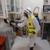 Pest Control & Fumigation