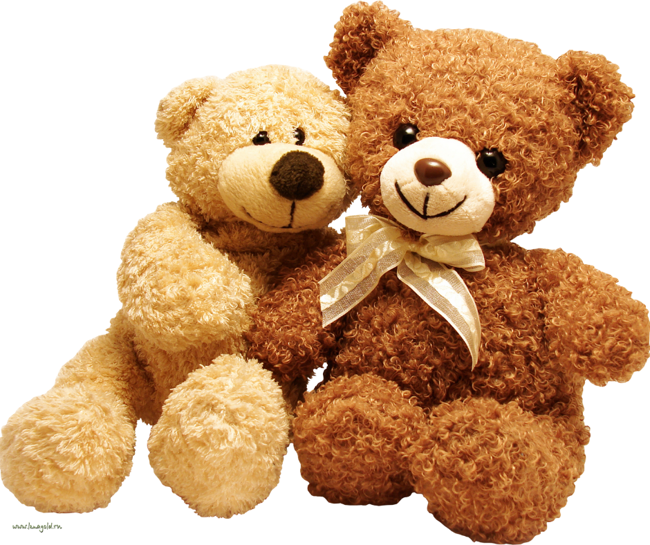 Teddy Bears